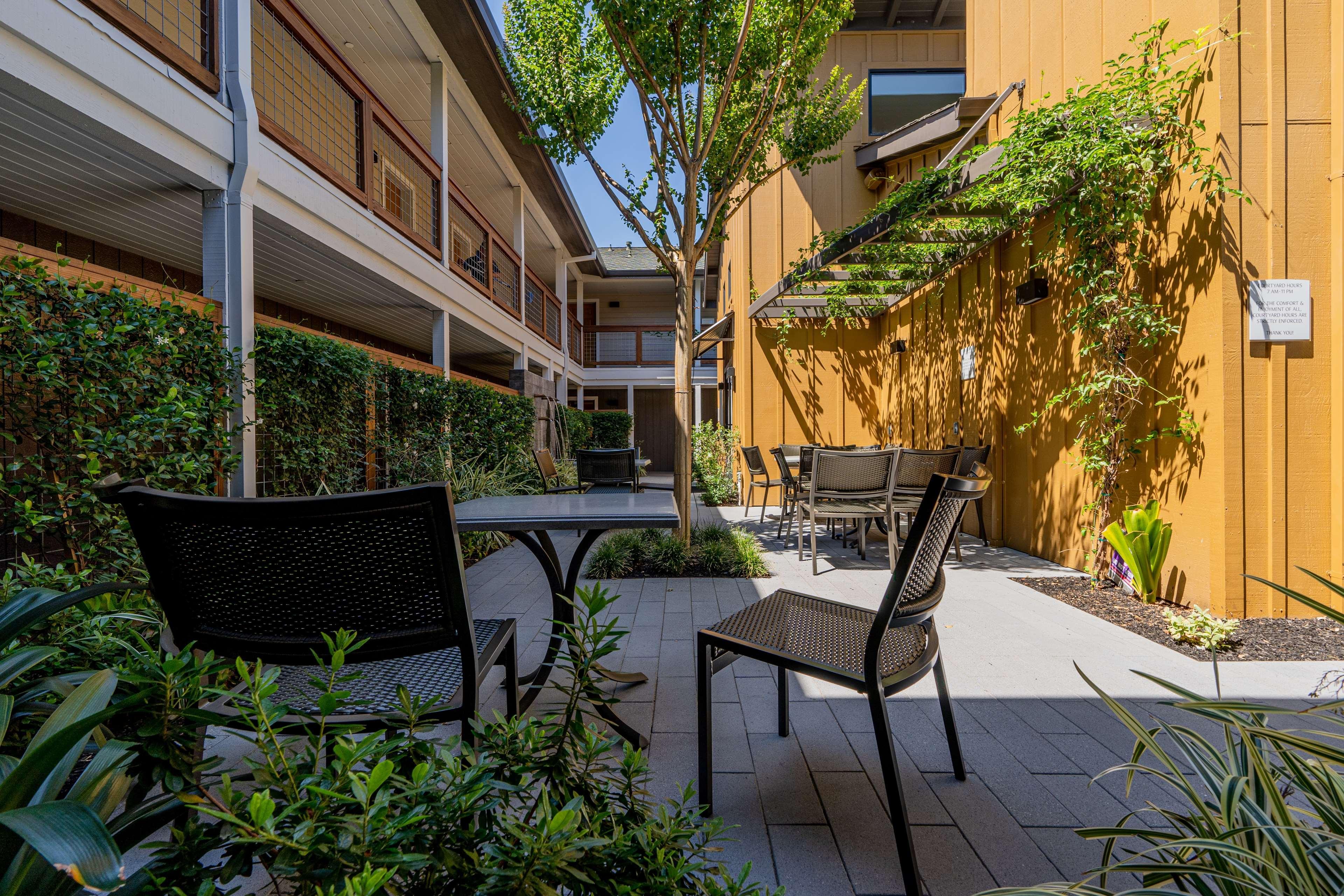 קליסטוגה Best Western Plus Stevenson Manor מראה חיצוני תמונה